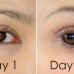 Serum dưỡng mi DHC Eyelash Tonic